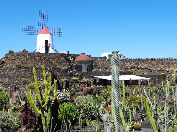 Top 12 des choses à faire à Lanzarote avec des enfants